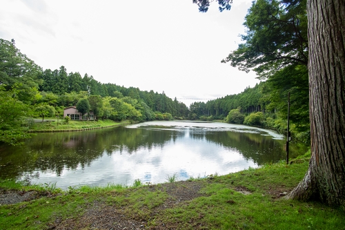 春野町